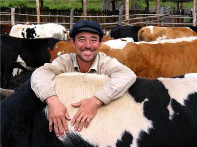 卧薪尝胆，河北乳业吹响重振号角 以生鲜乳收购为支点，撬动全产业链升级