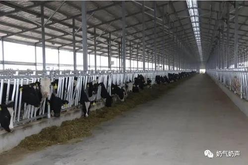 优然牧业发布了2021年中期业绩盈喜公告