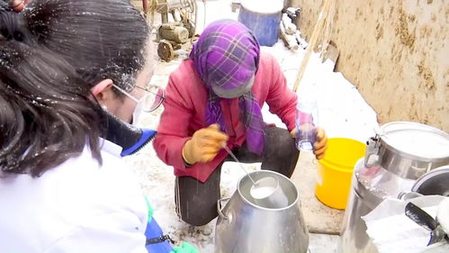 严把生鲜乳质量关 阿克塞县监督监测站节前采样检测再加力